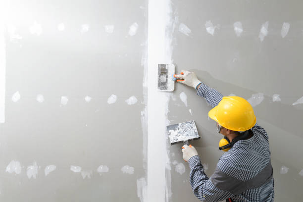 Best Black Mold Removal  in , SC