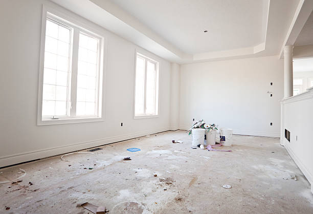 Best Mold Damage Restoration  in , SC