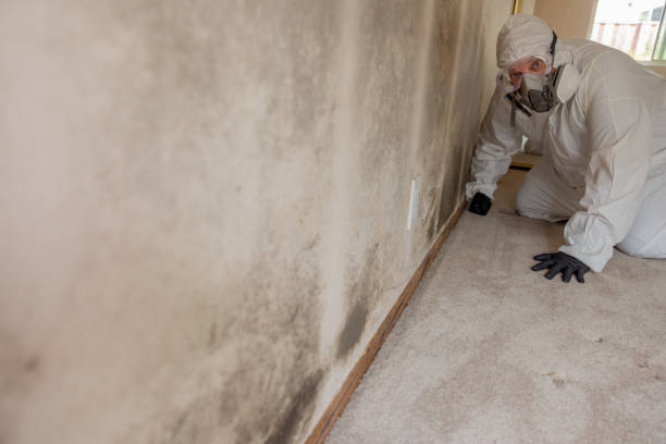 Best Residential Mold Inspection & Testing  in , SC