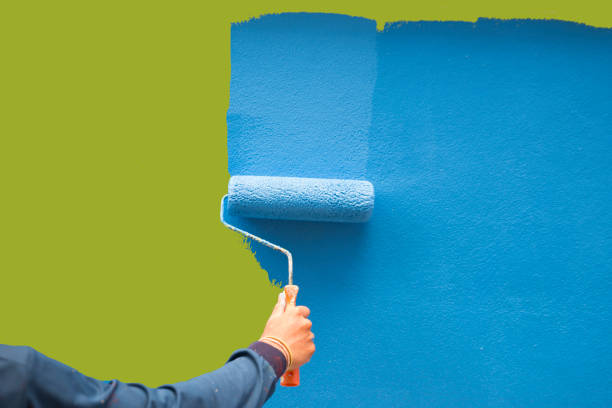 Best Mold Odor Removal Services  in , SC