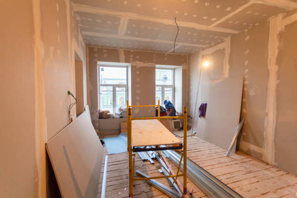  , SC Mold Removal Pros